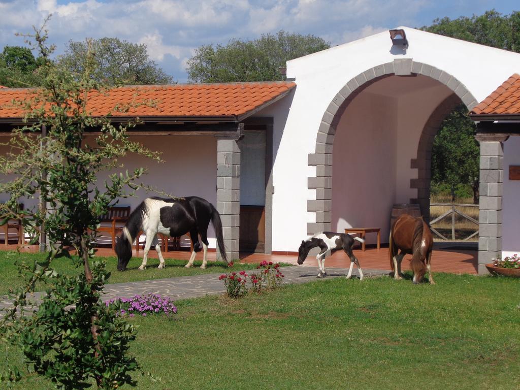 Hotel Su Baione Abbasanta Exterior photo